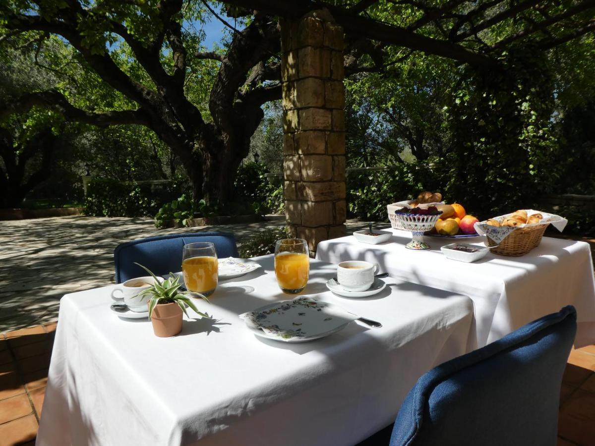 Domaine Du Paradis Des Oiseaux Mougins Esterno foto